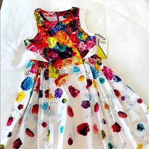 Prabal Gurung for Target Floral Crush Print Dress